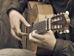 flamenco