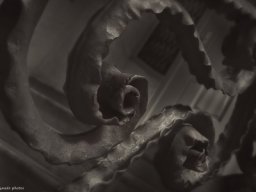pedrera1