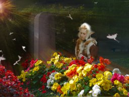 elf