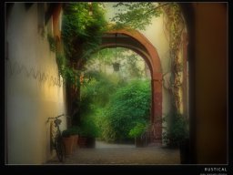 bridge2
