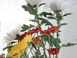 ikebana1
