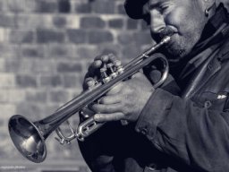 porto41