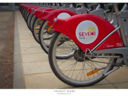 bikes