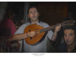 flamenco